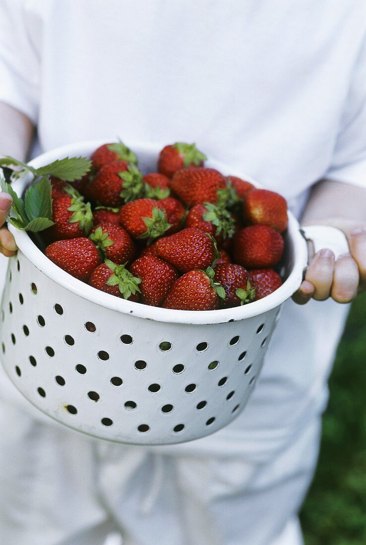 Fresh strawberries in a container with holes