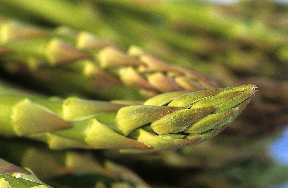 Green asparagus