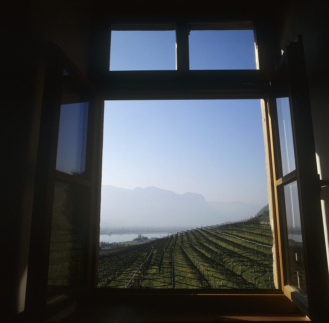 View of Castel Ringberg, Elena Walch Winery, S. Tyrol