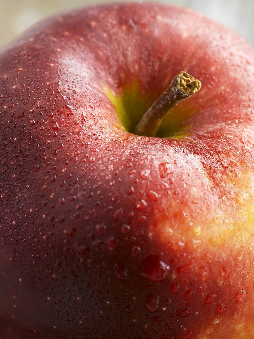 A Jonagold apple (close-up)