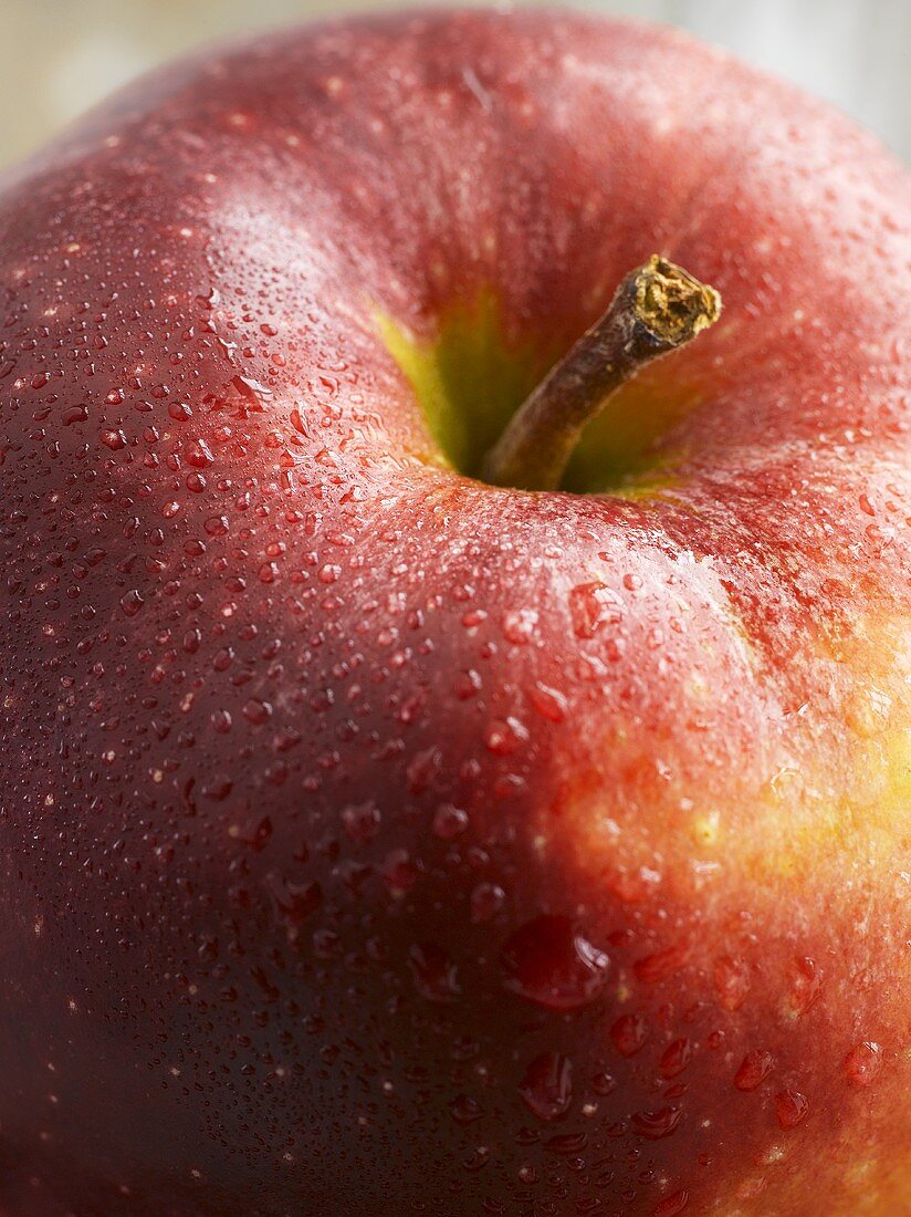 Ein Apfel der Sorte Jonagold (Nahaufnahme)