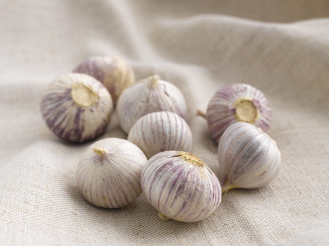 Several garlic bulbs