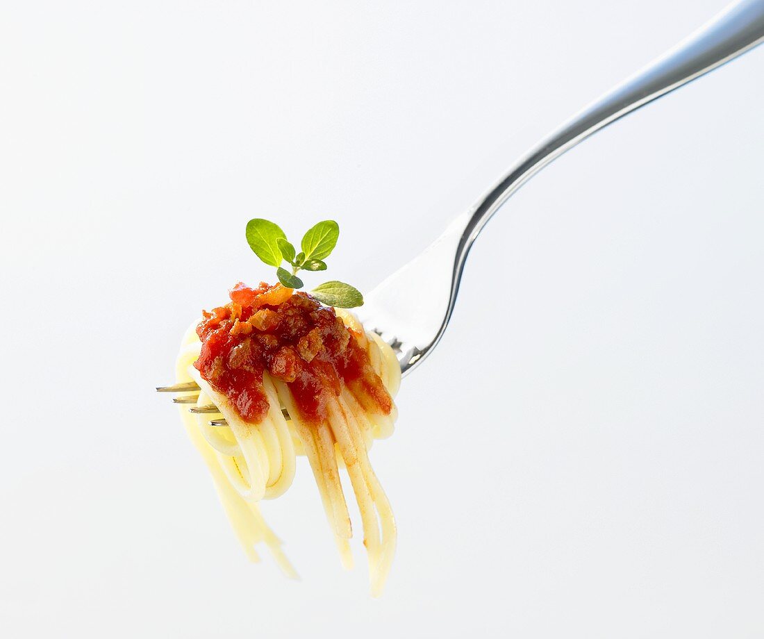 Spaghetti bolognese on fork