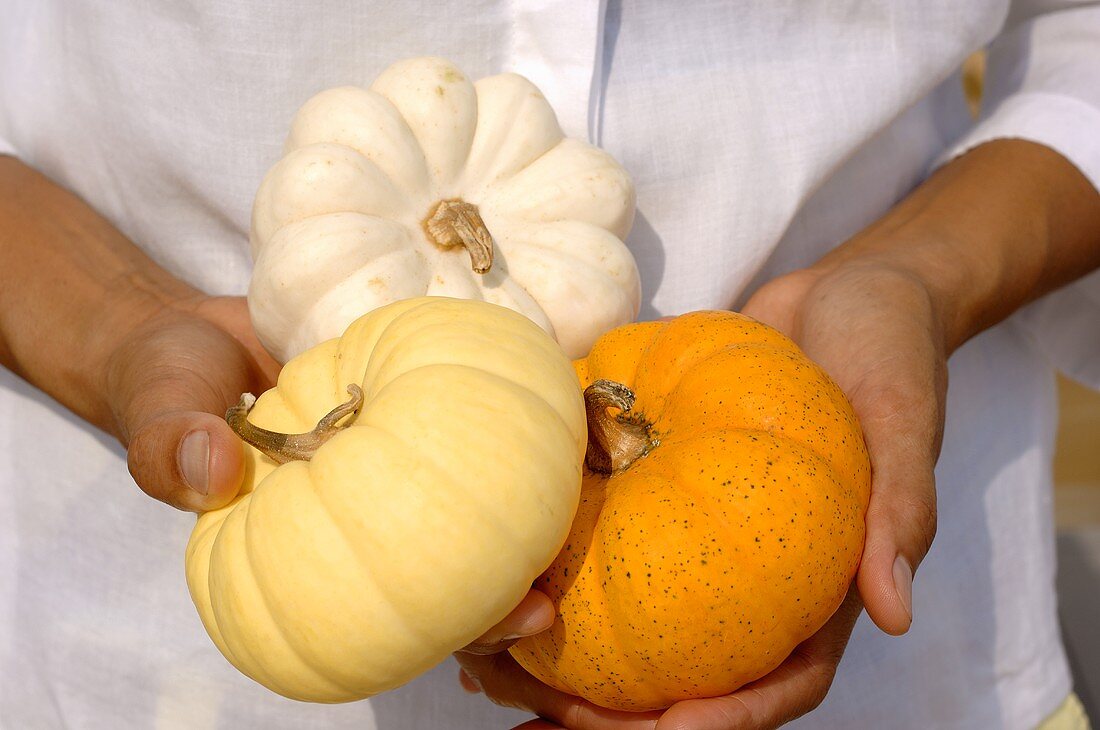 Hands holding three small Thai pumpkins