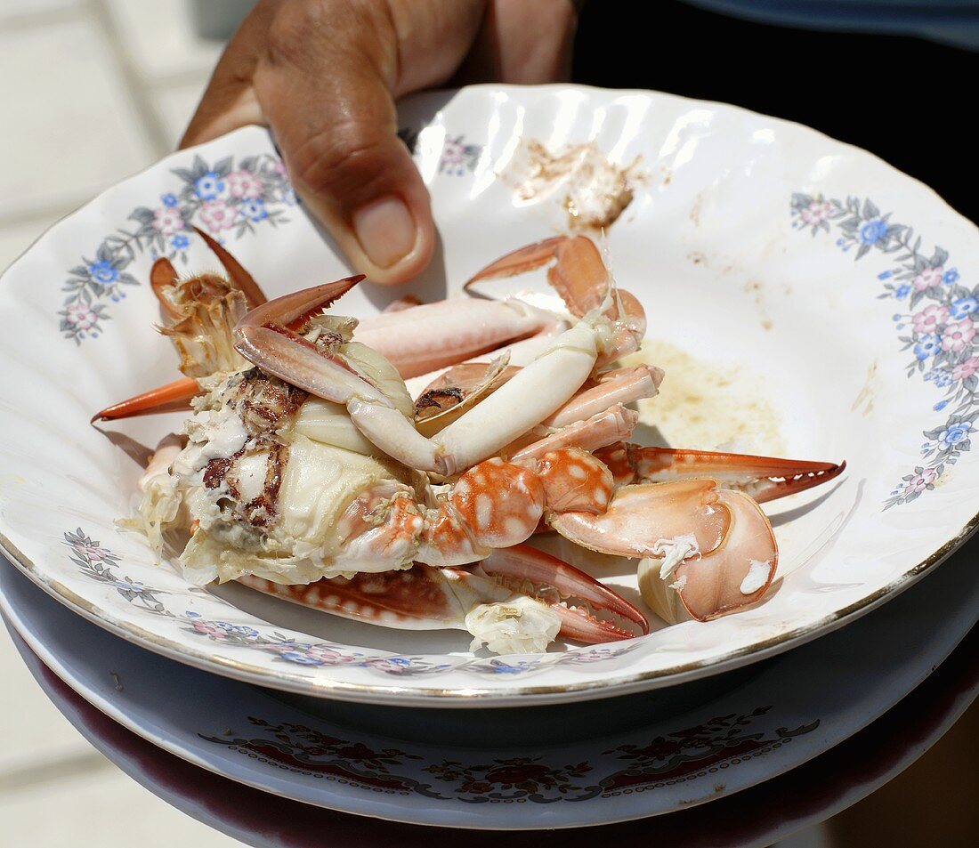 Plate with food scraps (crab)