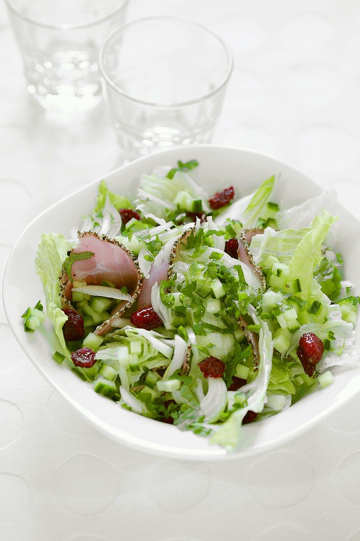 Vegetable salad with ham and cranberries