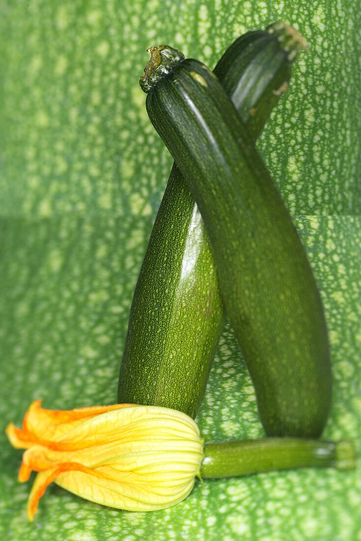 Courgettes with flower