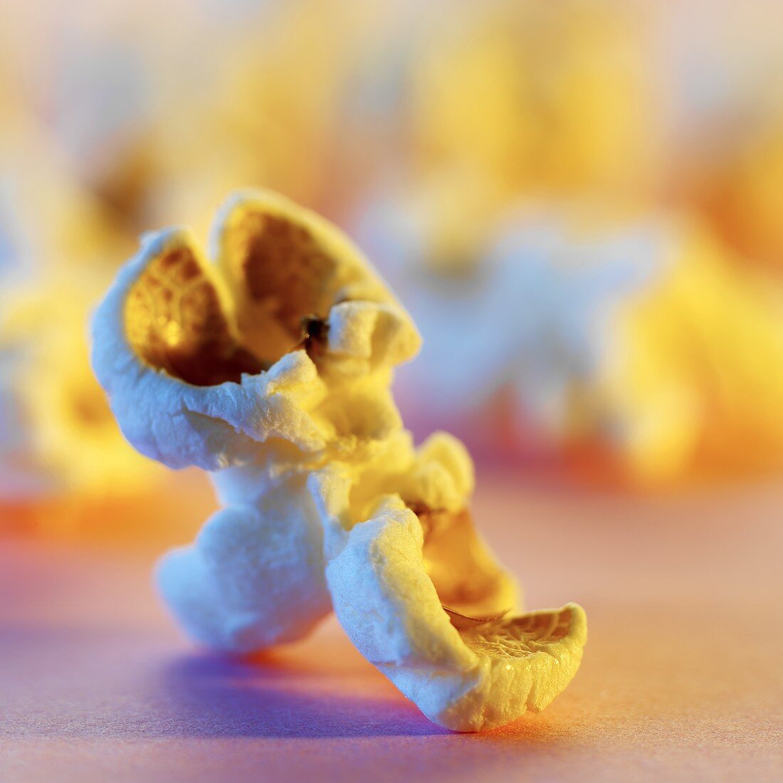 A piece of popcorn (close-up)