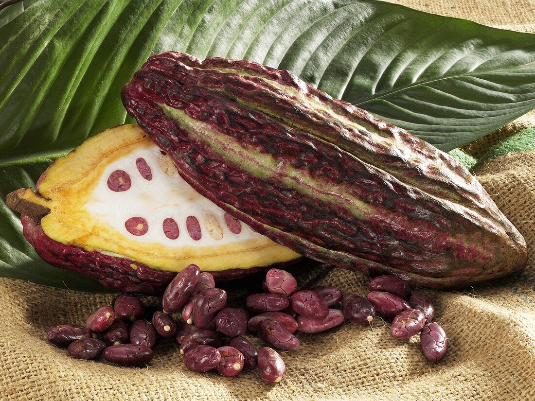 Kakaofrucht mit Bohnen und Blatt