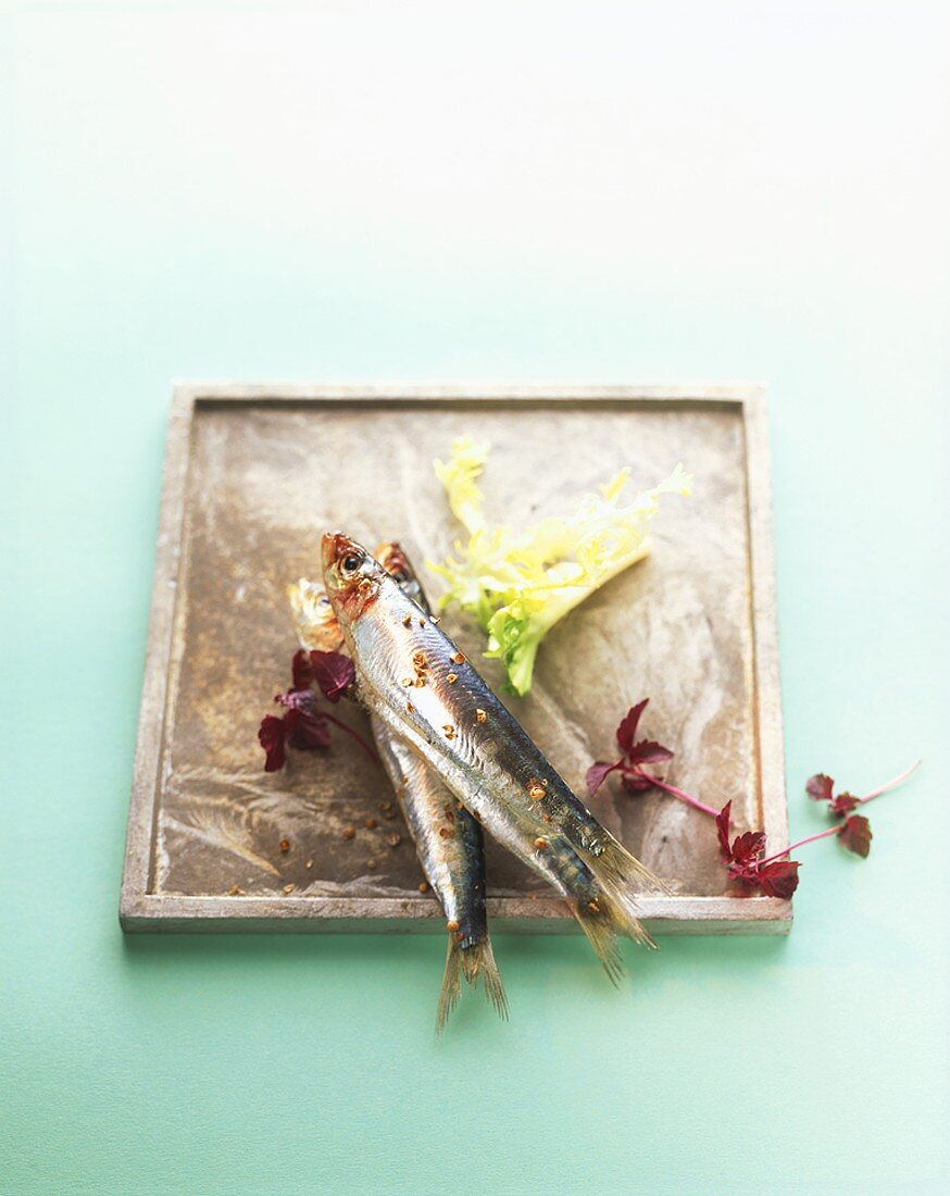 Three sardines on a square plate