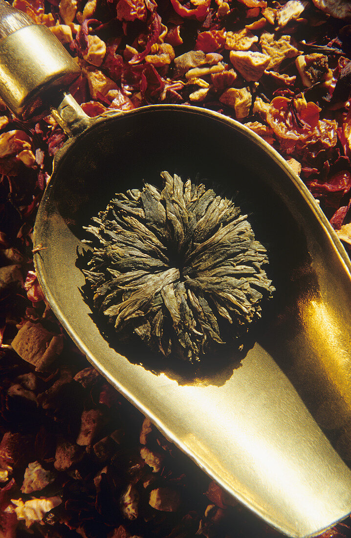Fruit tea, tea anemone in tea scoop
