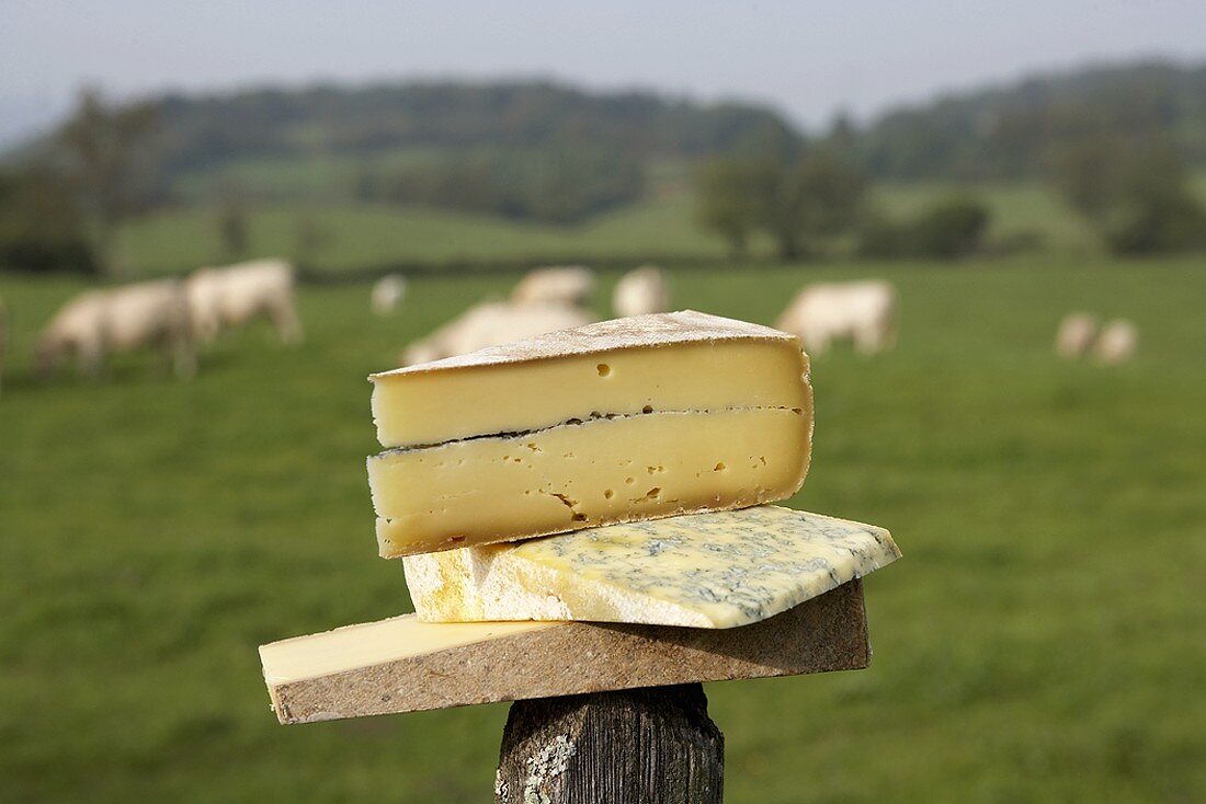 Käse aus dem Jura: Bleu de Gex, Morbier und Comté