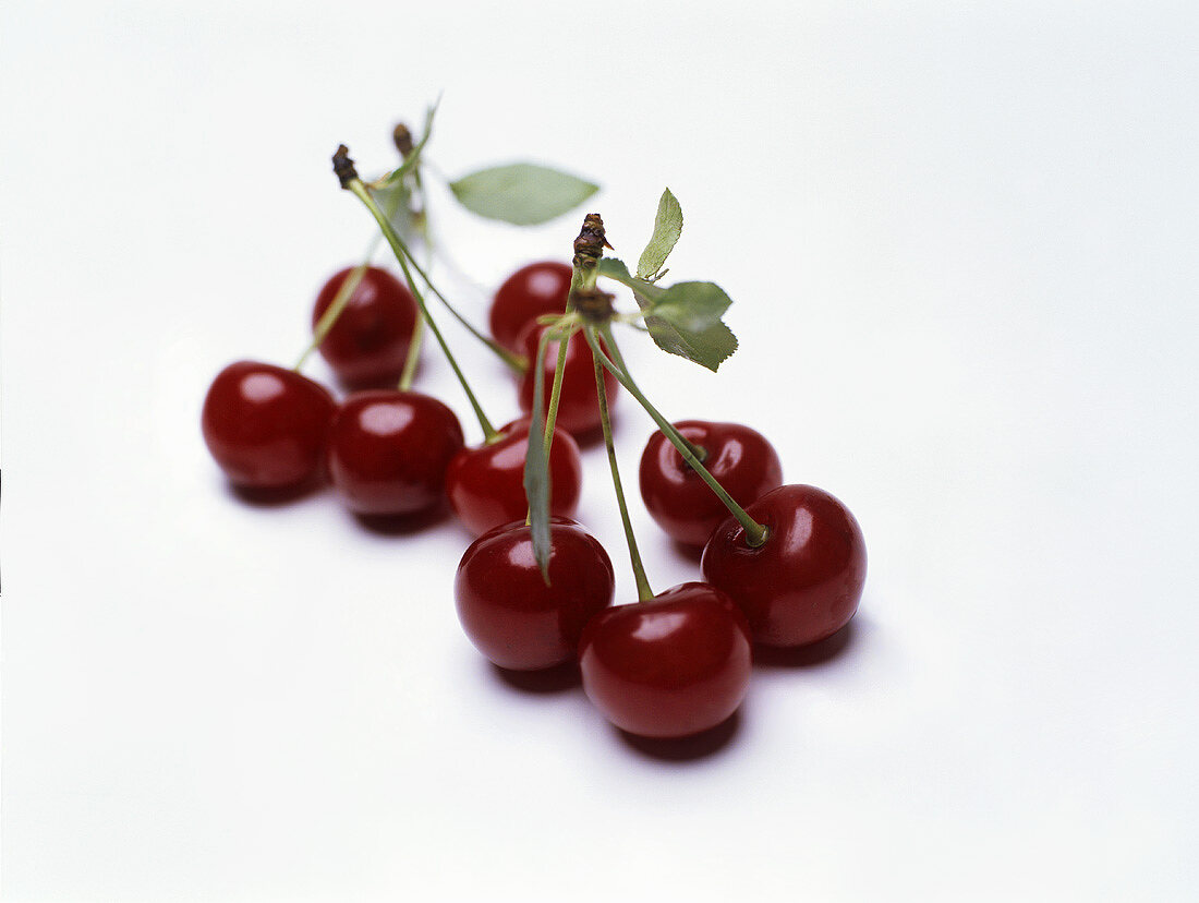 Sour cherries (can also represent wine bouquet)