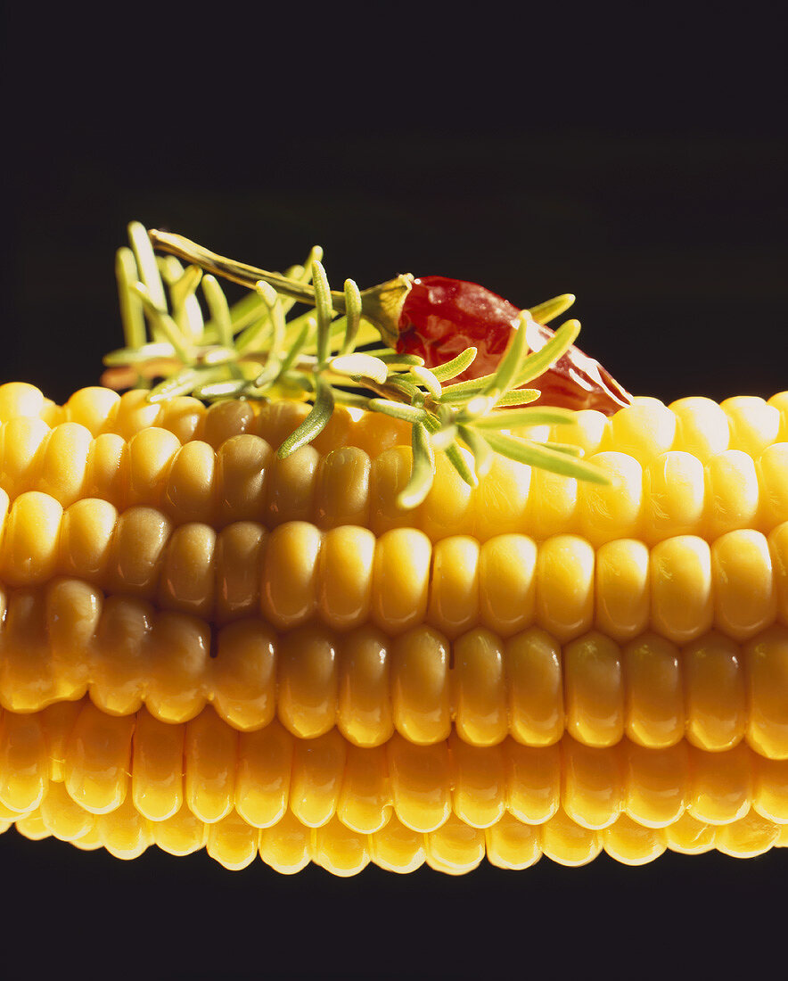 Corn on the cob against black background