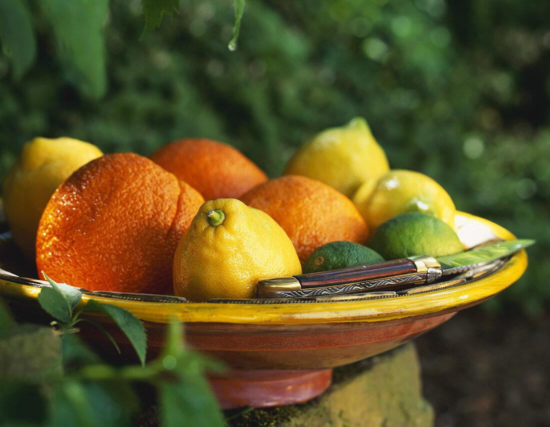 Various citrus fruits in a bowl