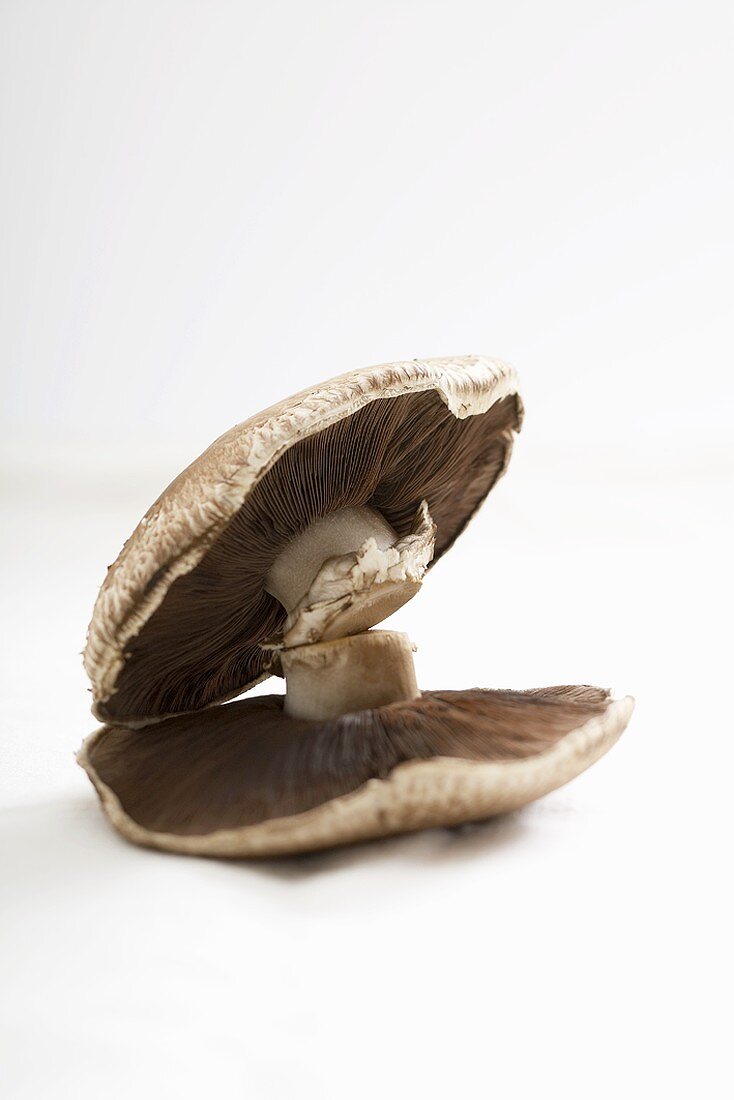 Two Portobello mushrooms