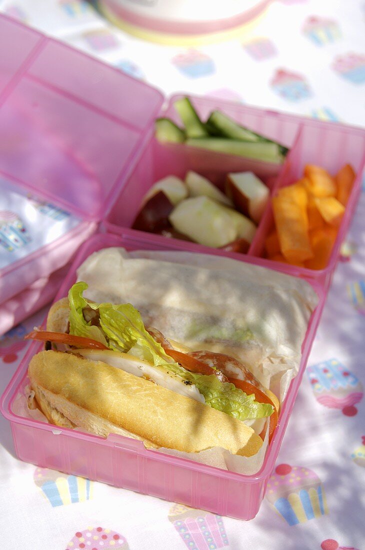 Club sandwich with vegetables in pink lunch box
