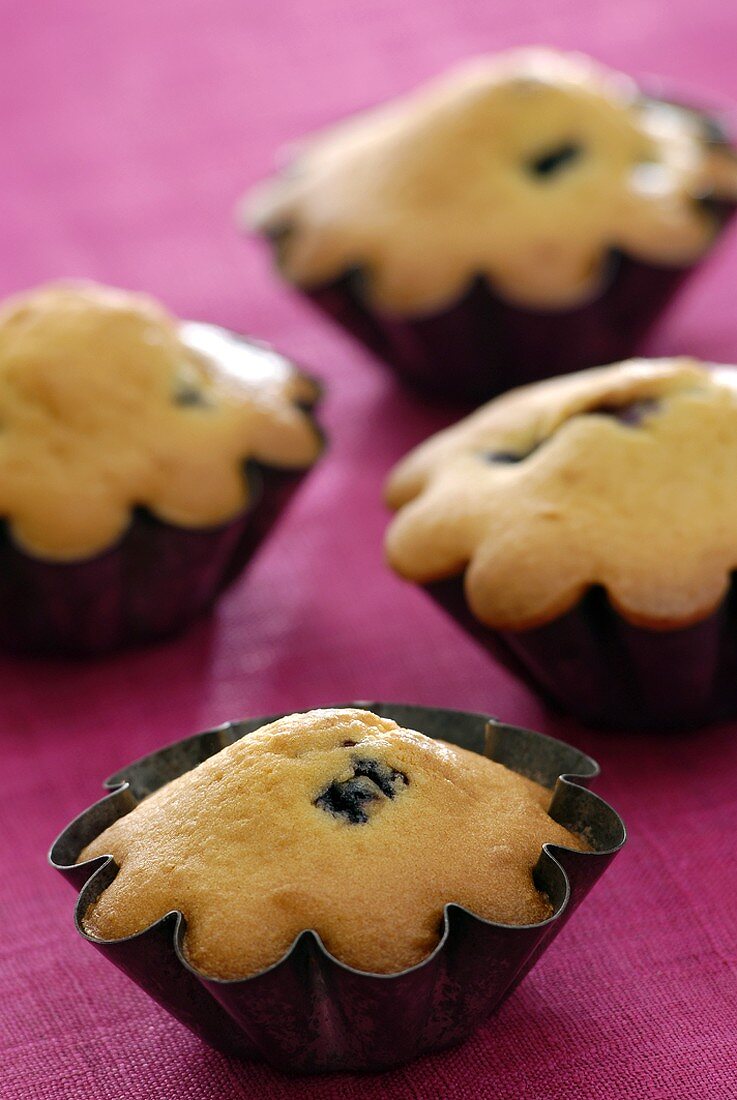 Four blueberry muffins in muffin cases