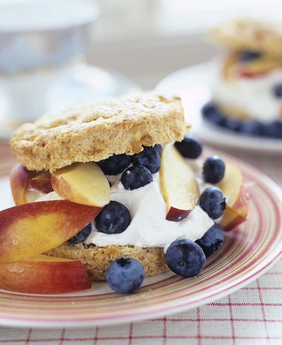 Blueberry and peach shortcake (USA)