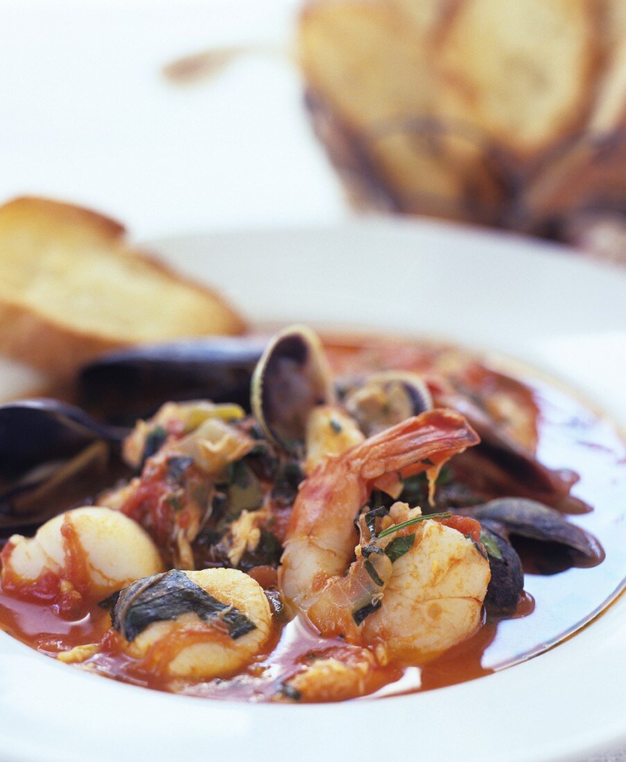Cioppino (fish stew) with toasted bread