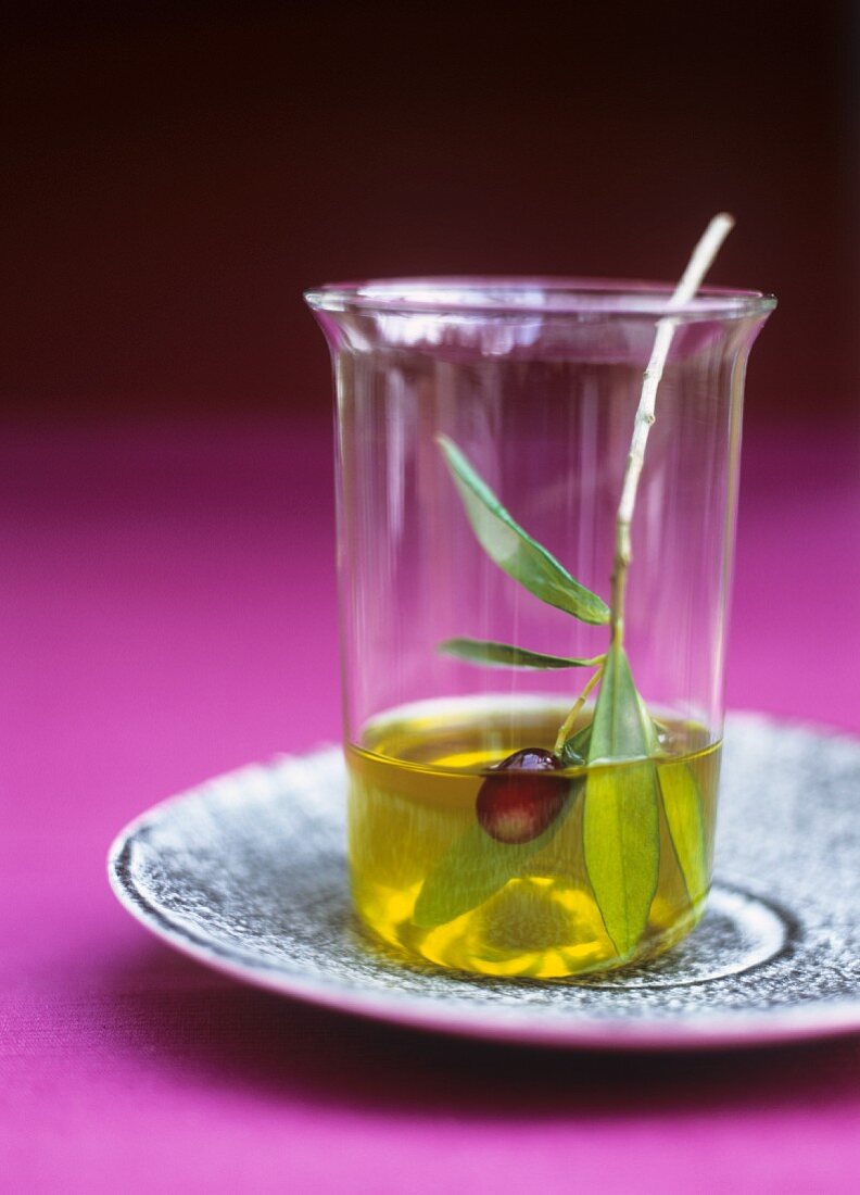 Olive oil with black olive and olive sprig