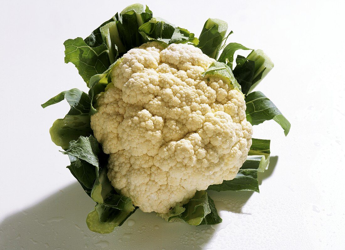 Cauliflower 