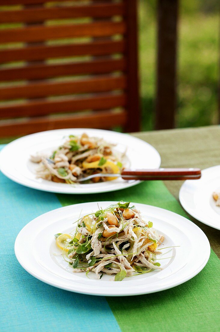 Chicken salad with pickled lemons and vegetables