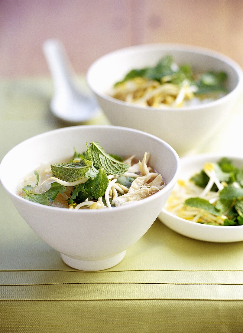 Asian chicken soup with soya sprouts and Thai basil