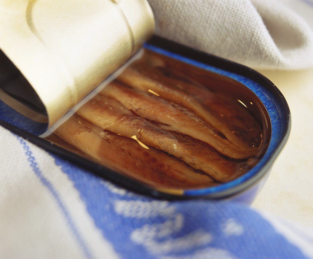Anchovy fillets in the tin