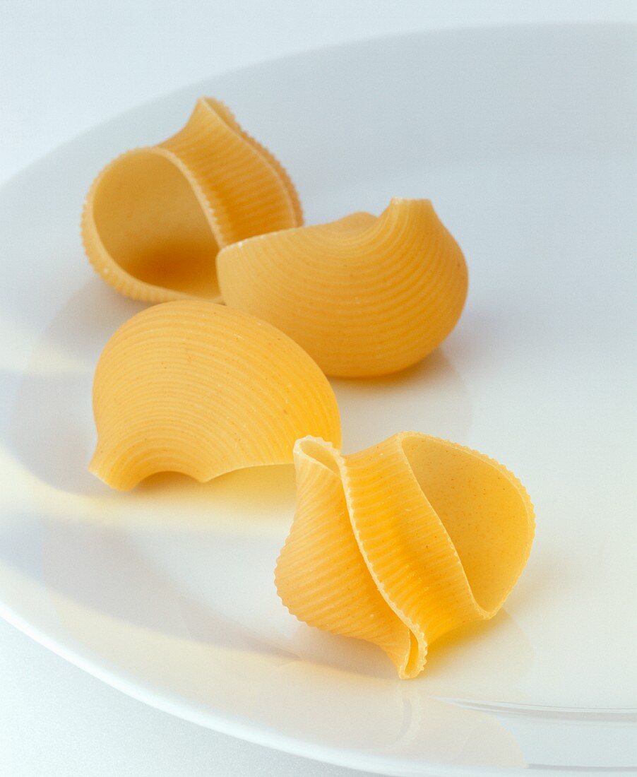 Four conchiglie on white plate