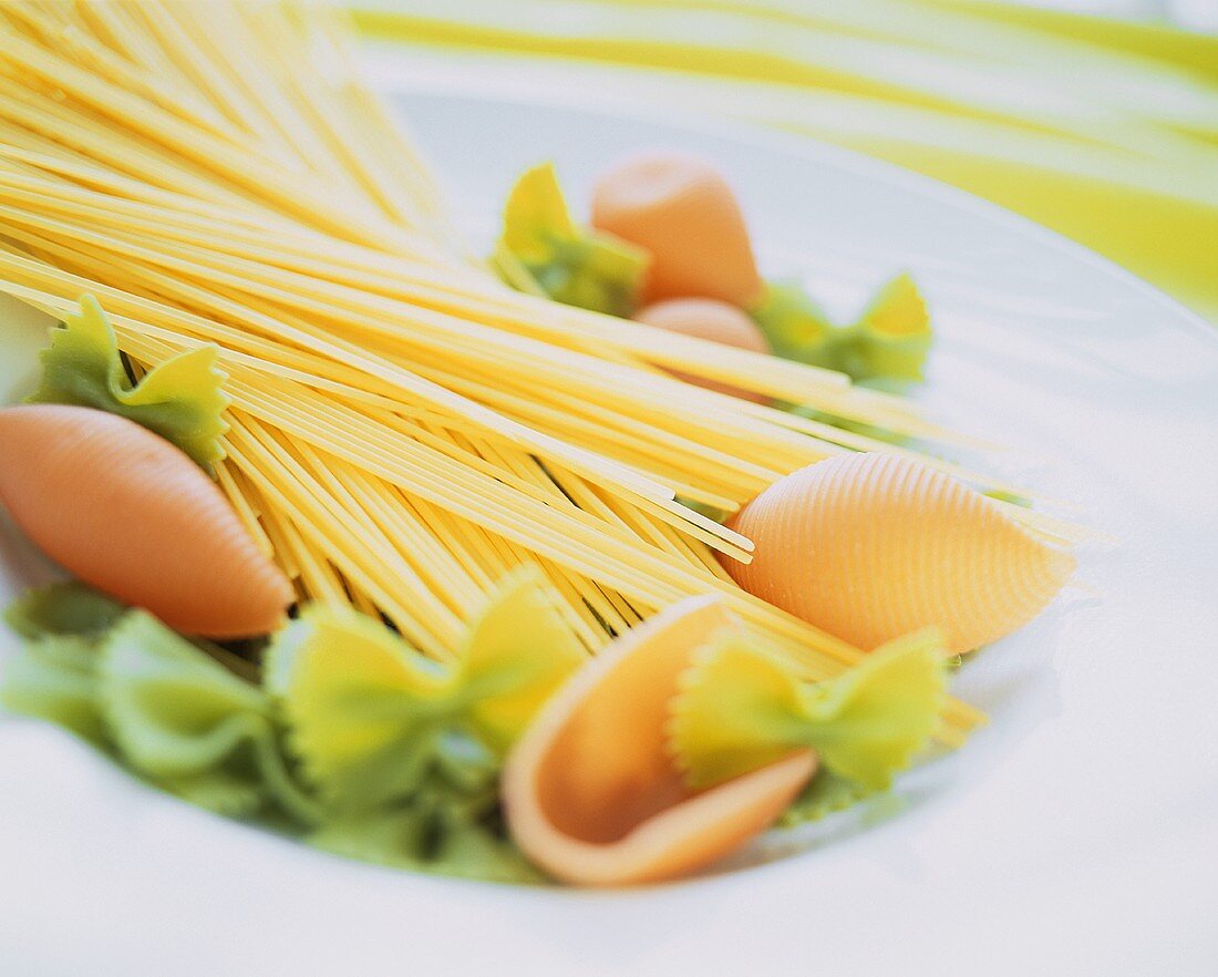 Assorted pasta on a pasta plate