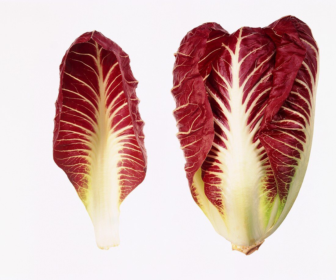 Radicchio und ein Radicchioblatt