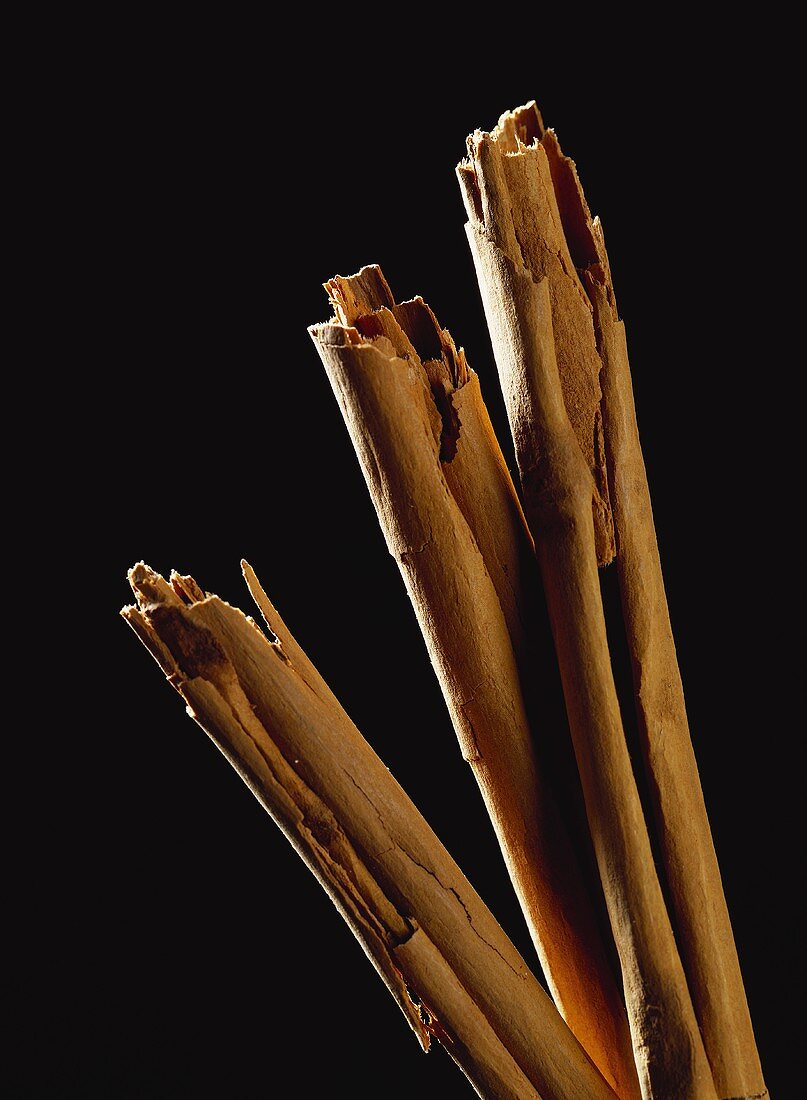 Three cinnamon sticks against black background