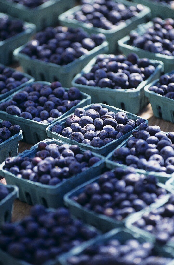 Heidelbeeren in Plastikschälchen auf einem Markt