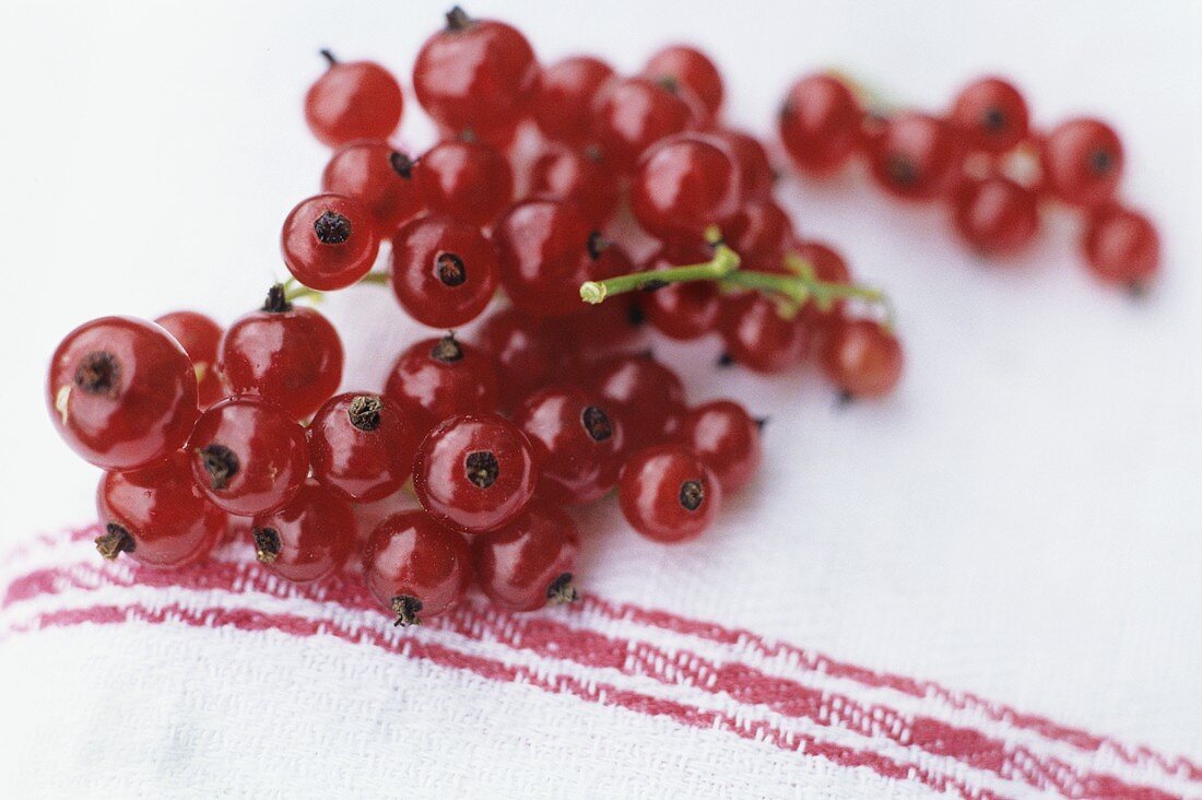 Redcurrants on a kitchen cloth
