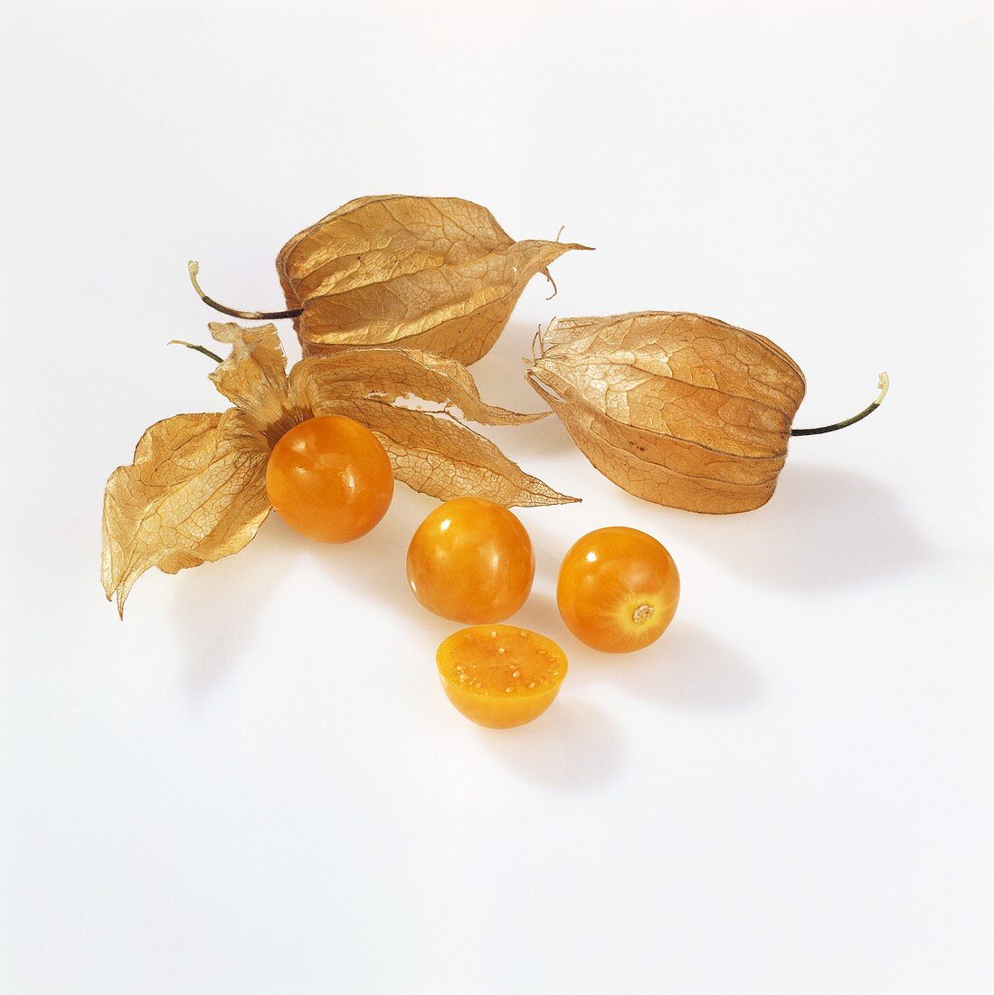 Mehrere Physalis