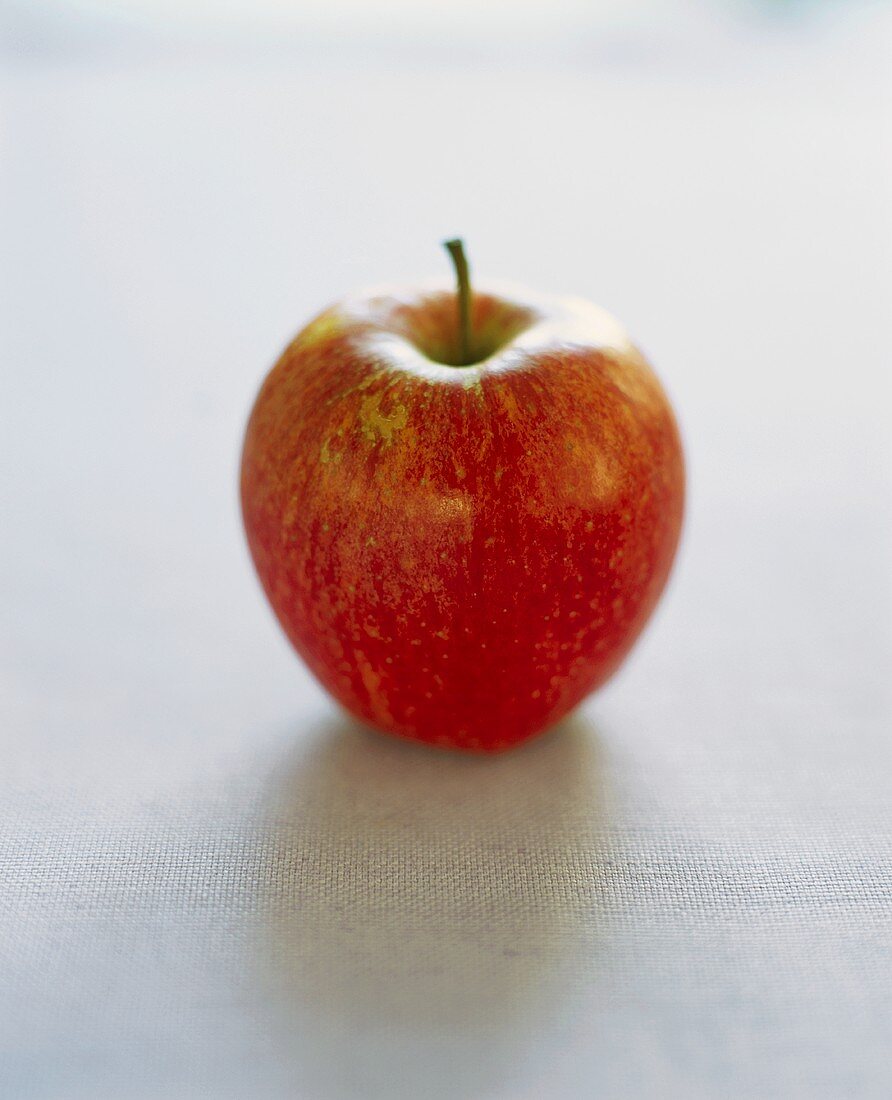 Ein roter Apfel der Sorte 'Royal Gala'