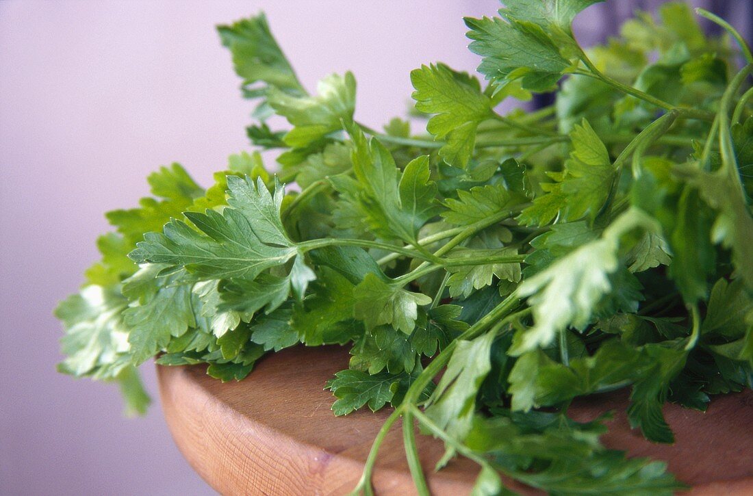 Flat-leaved parsley on a wooden table