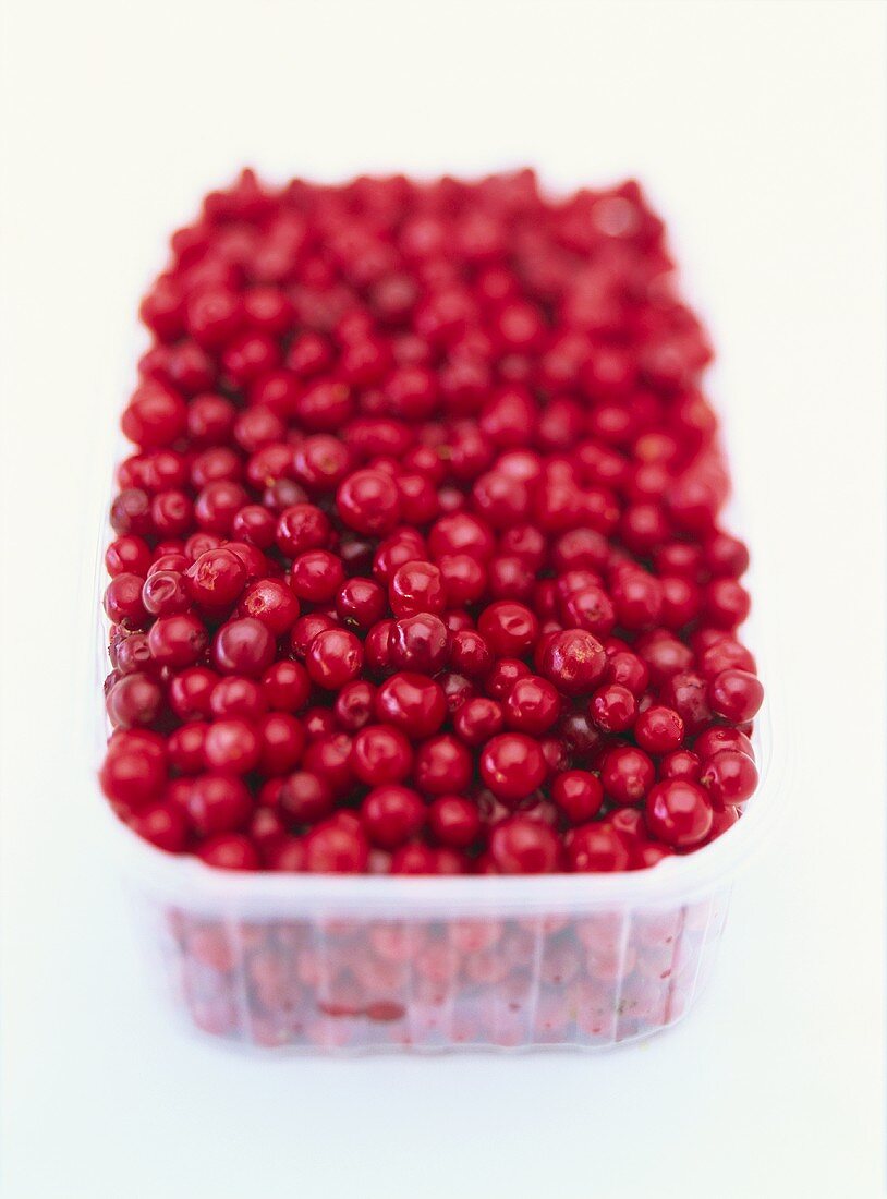 A plastic container of fresh cranberries