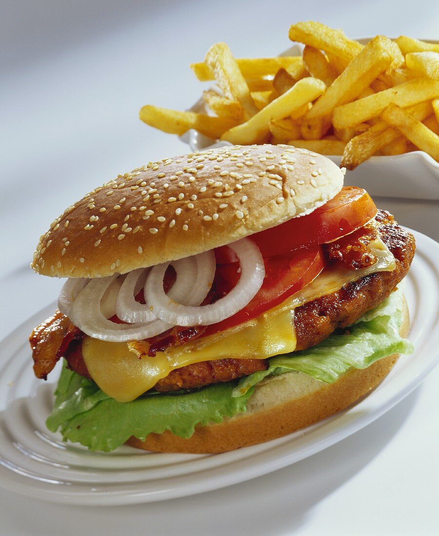 Hamburger mit Pommes Frites – Bilder kaufen – 850519 StockFood