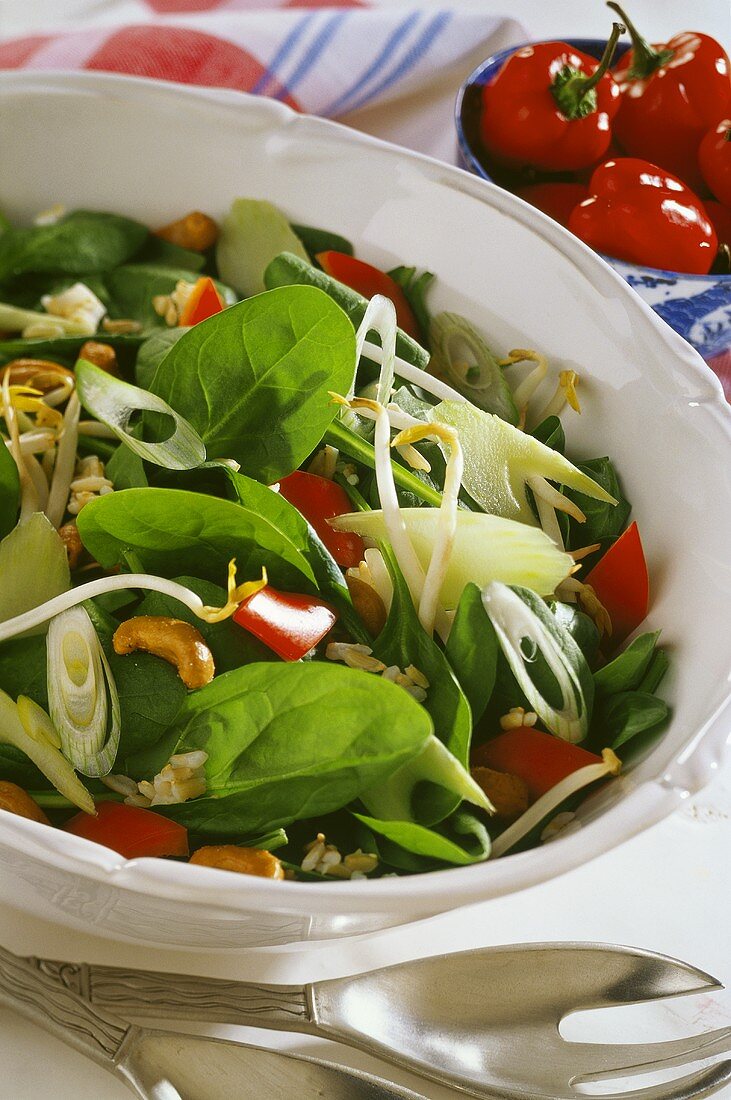 Spinatsalat mit Sellerie und rotem Paprika