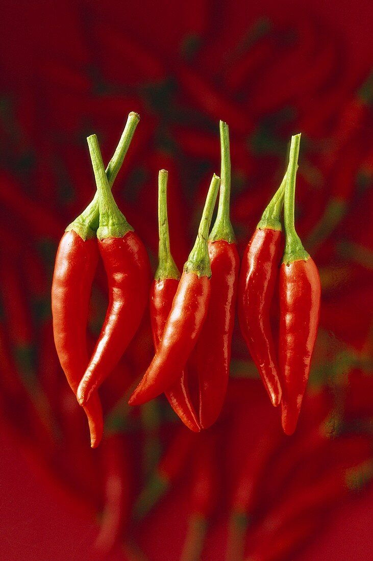 Several chili peppers against red background