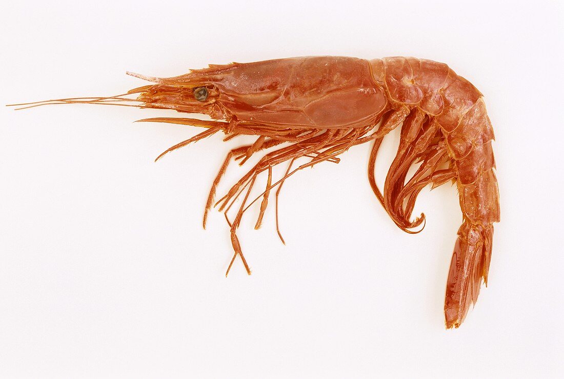 A cooked shrimp