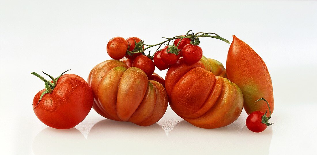 Mehrere Tomatensorten