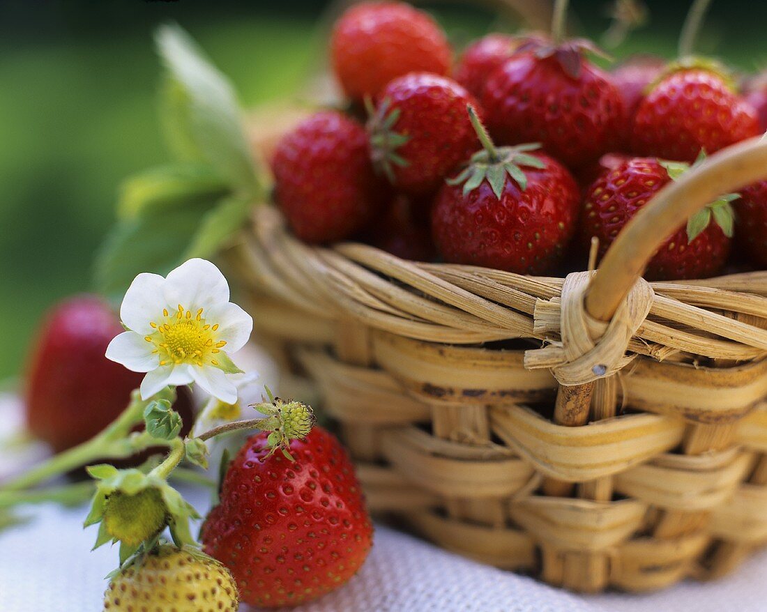 Strawberries in a small basket