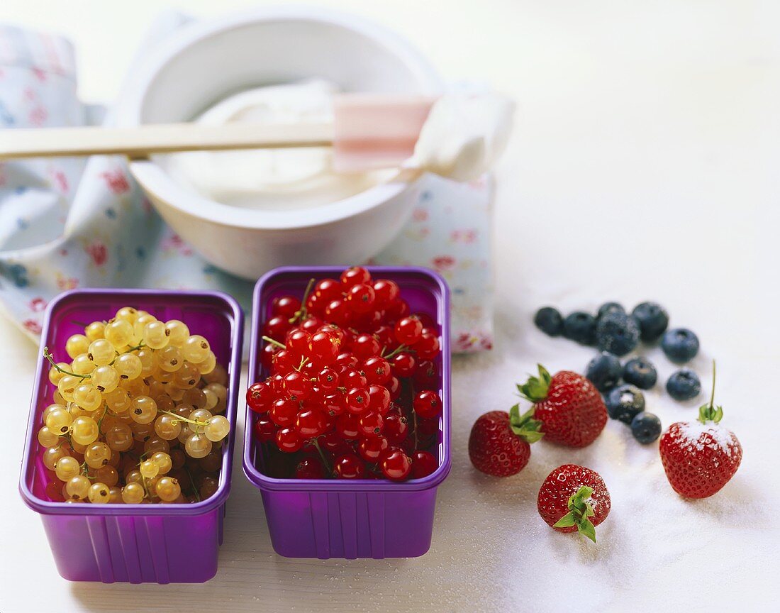 Berries, cream and sugar - cake ingredients