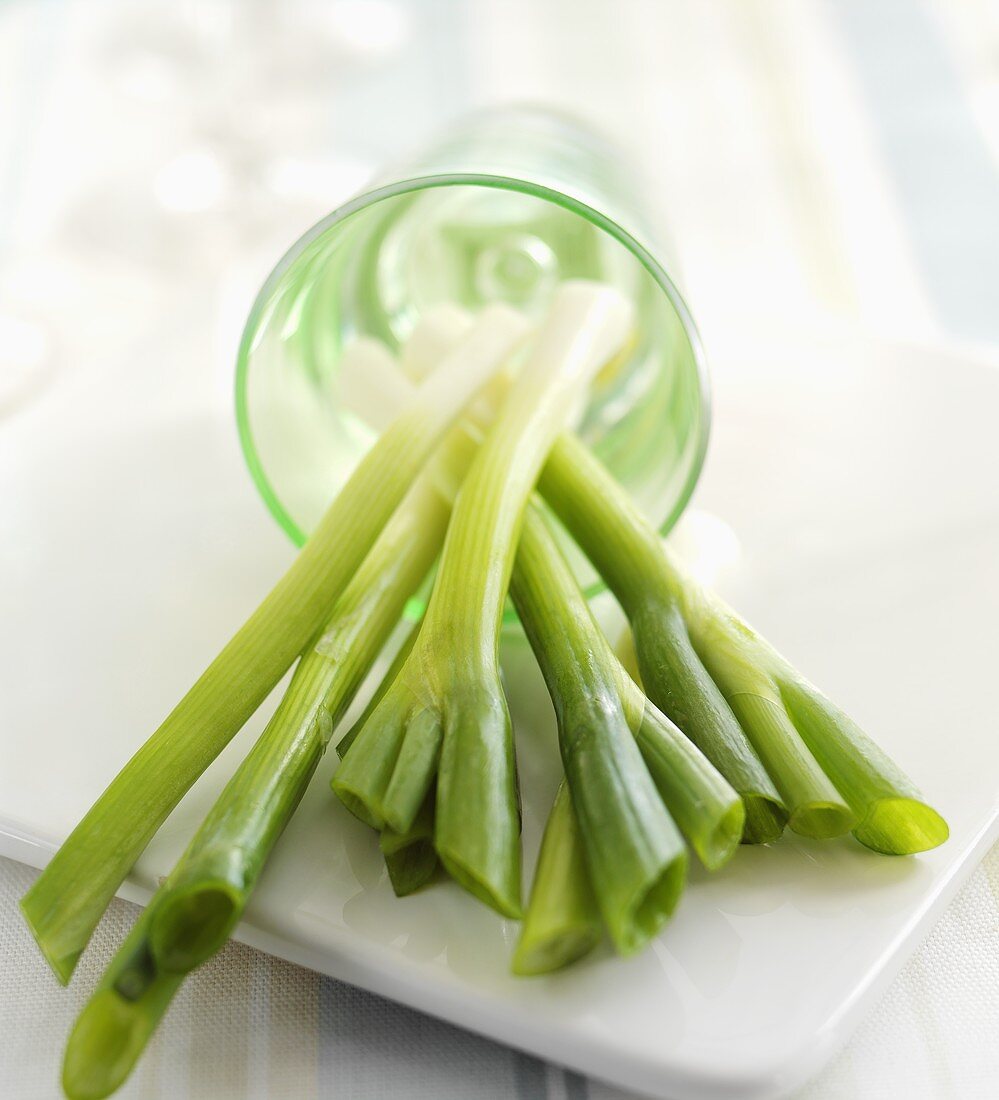 Spring onions in a glass that has fallen over