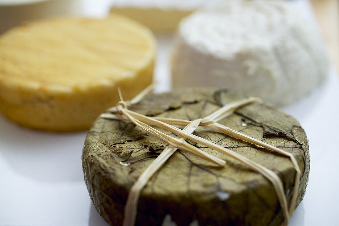 Französischer Ziegenkäse Banon, von Blättern umhüllt