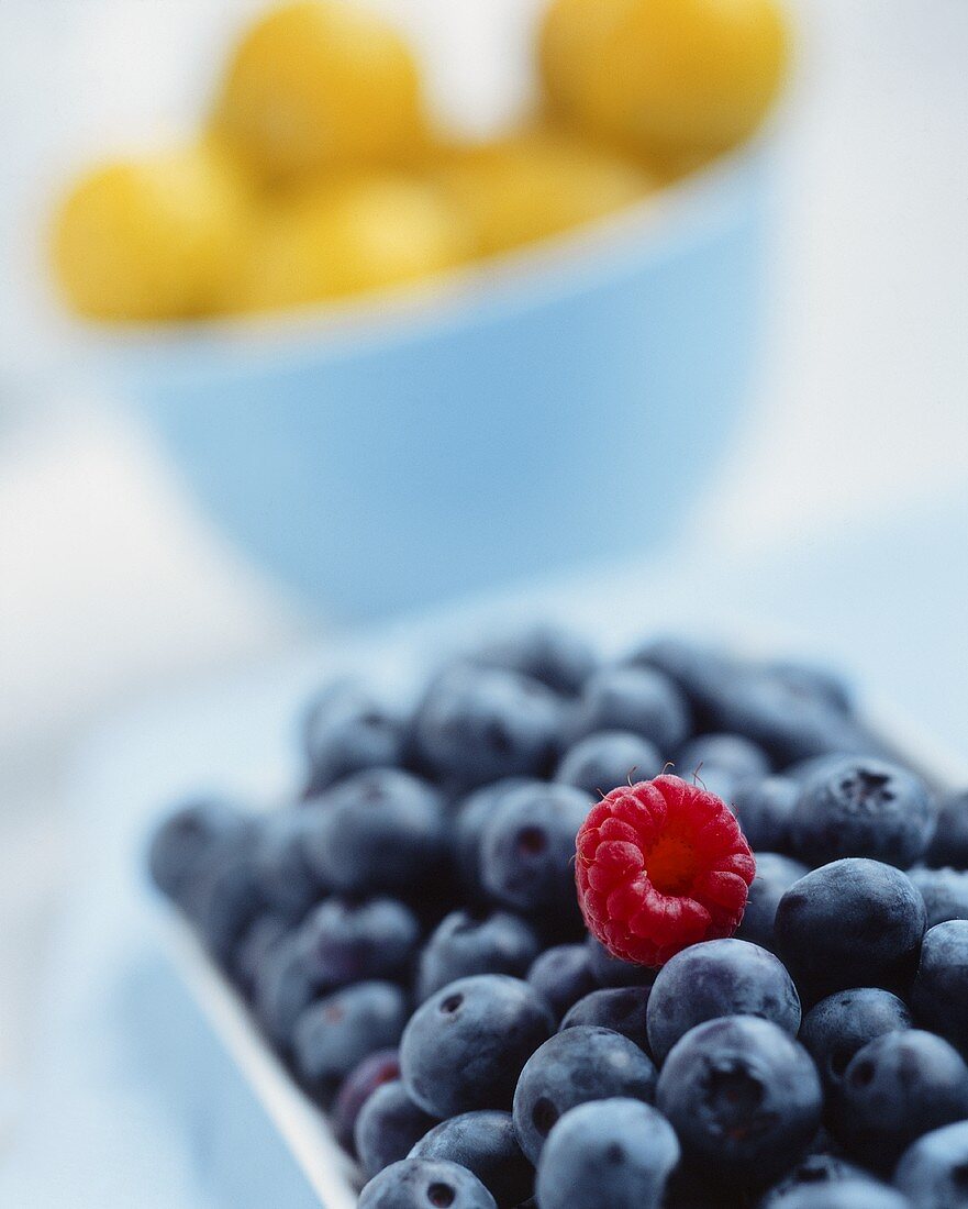 A raspberry on a heap of blueberries