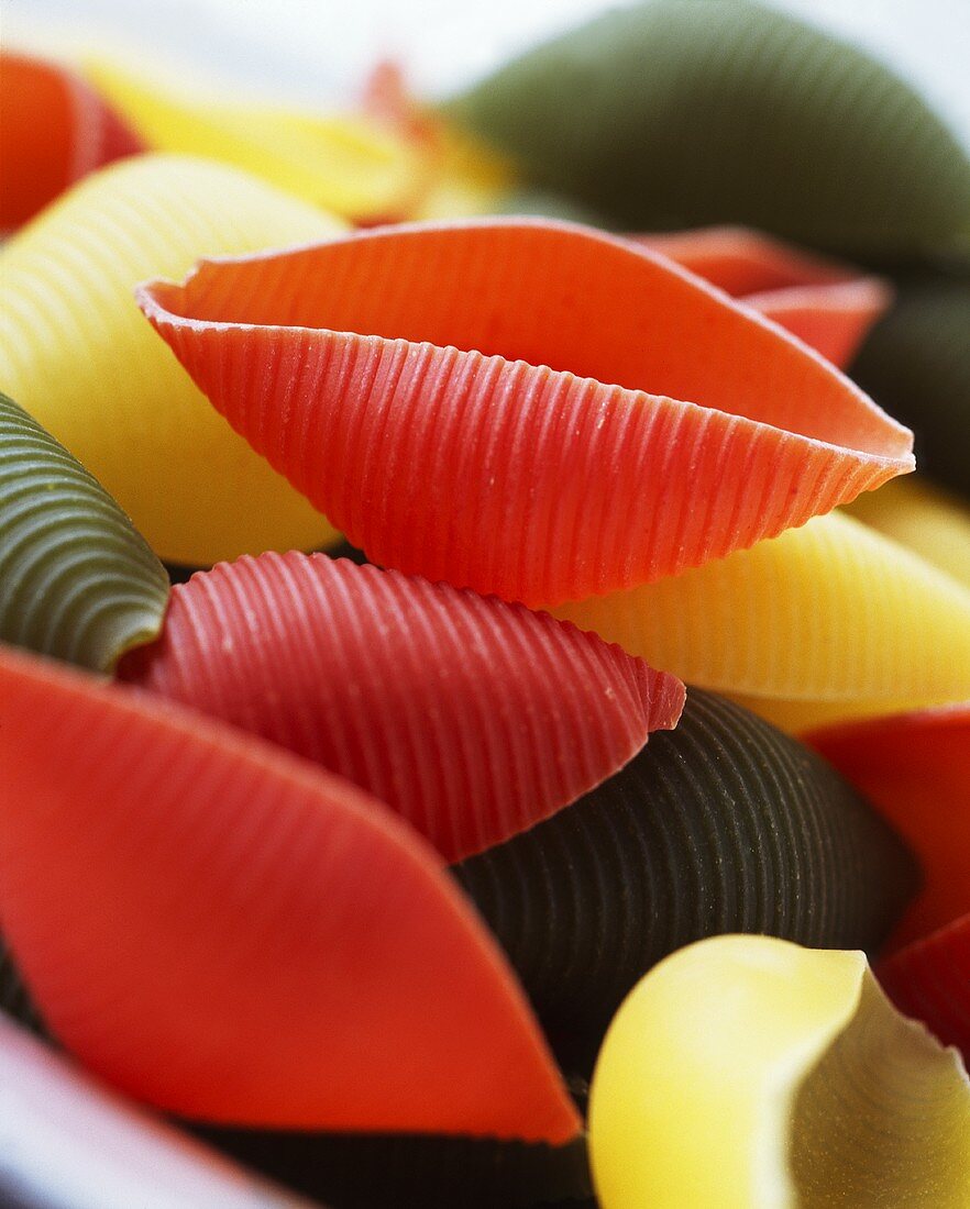 Coloured pasta shells